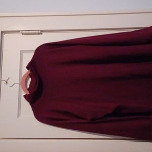 Woman  Plus size mock turtleneck Tunic
